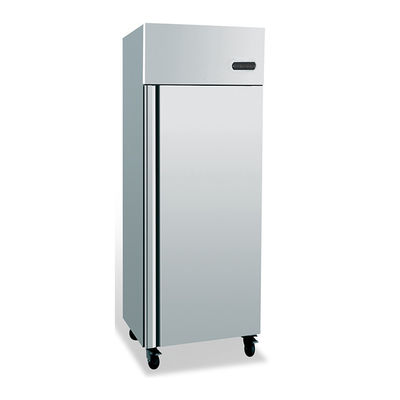 solo congelador de refrigerador de la puerta de 600*800*2000m m para el hotel