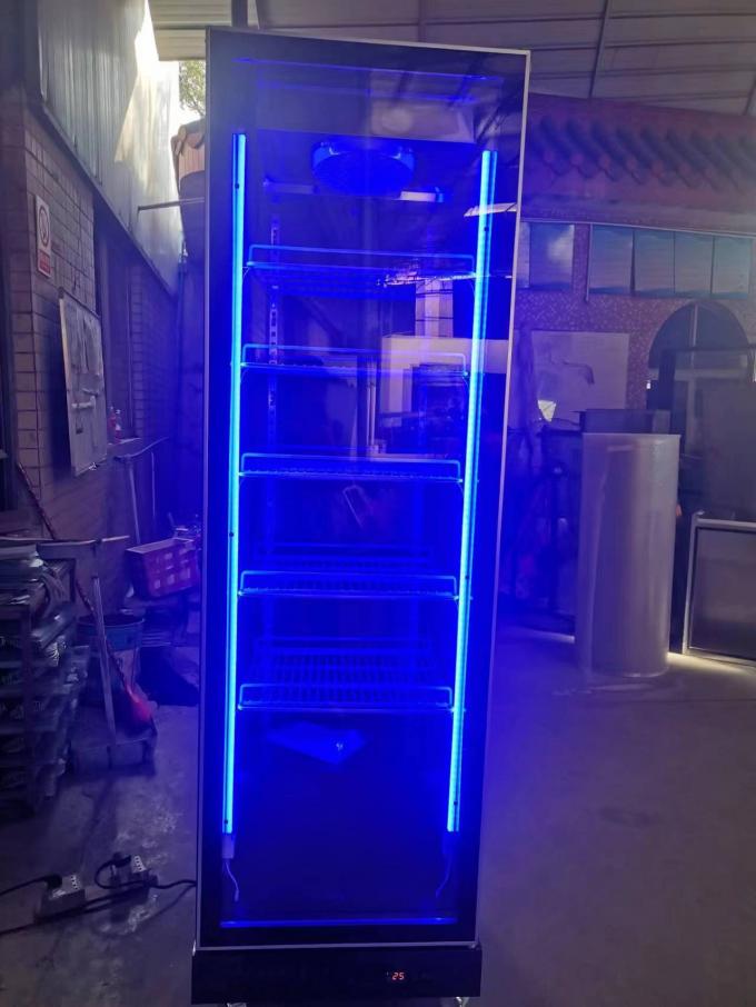 R290 Refrigerador vertical de puerta única para exhibición comercial de bebidas 2