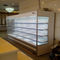 Refrigerador comercial de enfriamiento rápido del soporte de la pared 2500L del 10ft