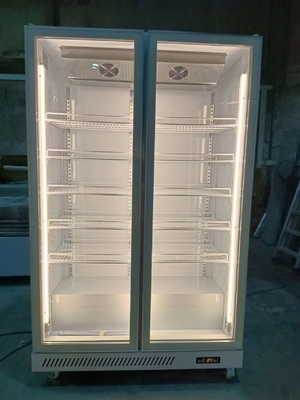 Refrigerador vertical de puertas de cristal comercial de 1000L con refrigerante R290