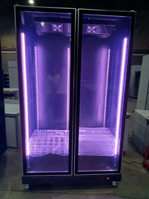2 Puertas de vidrio Display de bebidas nevera Comercial nevera vertical
