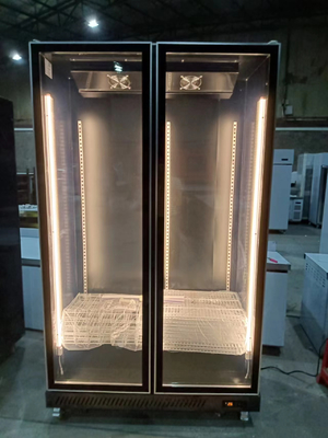 2 Puertas de vidrio Display de bebidas nevera Comercial nevera vertical