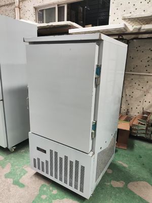10 bandejas congelador comercial frío refrigerador -40 grados Baja temperatura