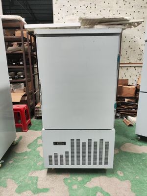 10 bandejas congelador comercial frío refrigerador -40 grados Baja temperatura
