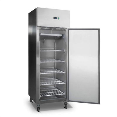 solo congelador de refrigerador de la puerta de 600*800*2000m m para el hotel