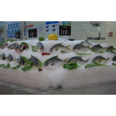 Máquinas de hielo de acero inoxidable de la escama del CE 304 2000 Kgs/D pequeñas