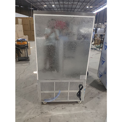 110V 60Hz 2400W 10 critica el enfriamiento comercial de la fan del congelador de ráfaga